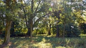 Park w Popowie Ignacewie - zdjęcie 35