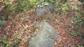 Park w Popowie Ignacewie - zdjęcie 29