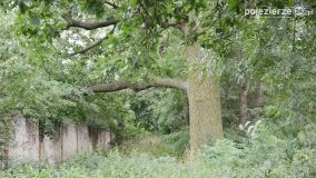 Park w Popowie Ignacewie - zdjęcie 26