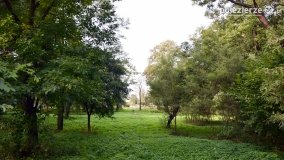 Park w Popowie Ignacewie - zdjęcie 23