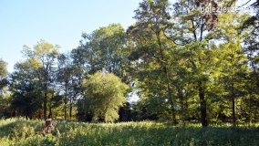 Park w Popowie Ignacewie - zdjęcie 22