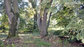 Park w Popowie Ignacewie - zdjęcie 20