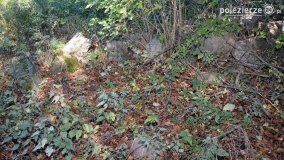 Park w Popowie Ignacewie - zdjęcie 19