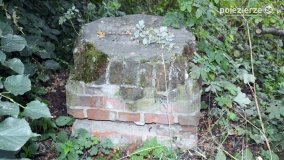 Park w Popowie Ignacewie - zdjęcie 16