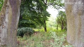 Park w Popowie Ignacewie - zdjęcie 13