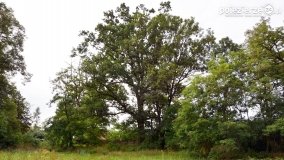 Park w Popowie Ignacewie - zdjęcie 12