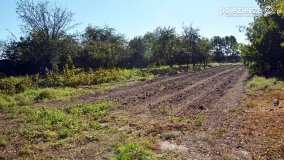 Park w Popowie Ignacewie - zdjęcie 10