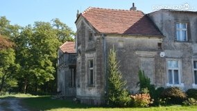 Park w Popowie Ignacewie - zdjęcie 4