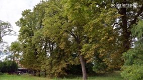 Park w Popowie Ignacewie - zdjęcie 3