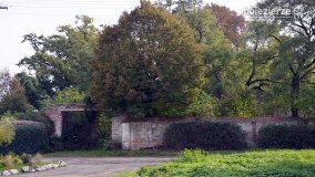 Park w Popowie Ignacewie - zdjęcie 2