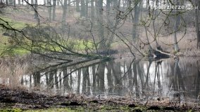 Pałac i park w Zakrzewie - zdjęcie 25