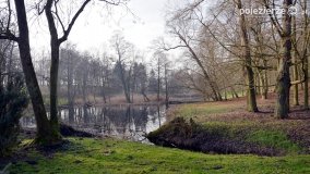 Pałac i park w Zakrzewie - zdjęcie 23