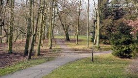 Pałac i park w Zakrzewie - zdjęcie 21