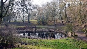 Pałac i park w Zakrzewie - zdjęcie 15