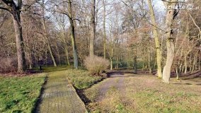 Pałac i park w Zakrzewie - zdjęcie 14