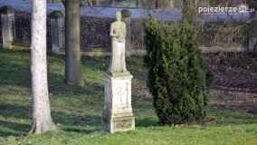 Pałac i park w Zakrzewie - zdjęcie 7