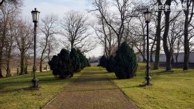 Pałac i park w Zakrzewie - zdjęcie 6