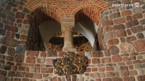 Kruszwica i Strzelno w obiektywie Piotra Figlarza - zdjęcie 60