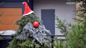 Świątecznie: Żnin, Barcin i Łabiszyn - zdjęcie 16