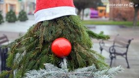 Świątecznie: Żnin, Barcin i Łabiszyn - zdjęcie 8