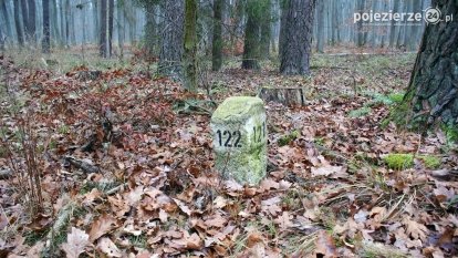 Przez Puszczę Zielonkę w poszukiwaniu… ziemianek