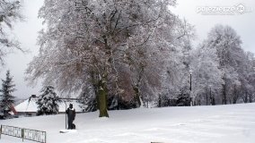 Zima w Puszczy Zielonka - zdjęcie 54