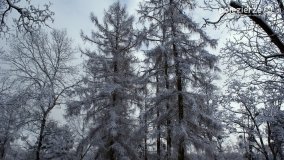 Zima w Puszczy Zielonka - zdjęcie 53