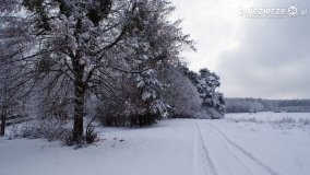 Zima w Puszczy Zielonka - zdjęcie 52