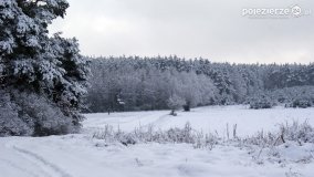 Zima w Puszczy Zielonka - zdjęcie 48