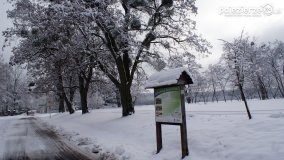 Zima w Puszczy Zielonka - zdjęcie 47