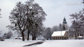 Zima w Puszczy Zielonka - zdjęcie 46