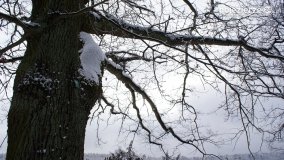 Zima w Puszczy Zielonka - zdjęcie 45