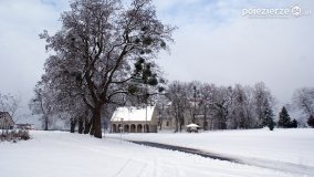 Zima w Puszczy Zielonka - zdjęcie 44