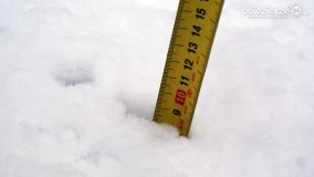 Zima w Puszczy Zielonka - zdjęcie 43