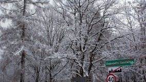 Zima w Puszczy Zielonka - zdjęcie 40