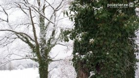 Zima w Puszczy Zielonka - zdjęcie 39