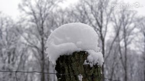 Zima w Puszczy Zielonka - zdjęcie 37