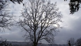 Zima w Puszczy Zielonka - zdjęcie 35