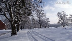 Zima w Puszczy Zielonka - zdjęcie 29