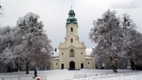 Zima w Puszczy Zielonka - zdjęcie 28