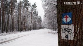 Zima w Puszczy Zielonka - zdjęcie 22