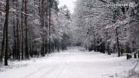 Zima w Puszczy Zielonka - zdjęcie 21