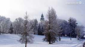 Zima w Puszczy Zielonka - zdjęcie 19