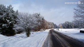 Zima w Puszczy Zielonka - zdjęcie 17