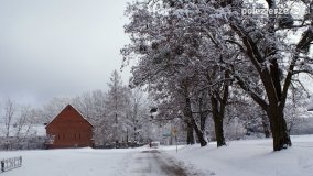 Zima w Puszczy Zielonka - zdjęcie 14