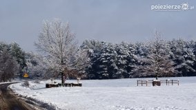Zima w Puszczy Zielonka - zdjęcie 12