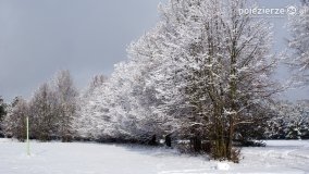 Zima w Puszczy Zielonka - zdjęcie 10
