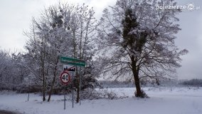 Zima w Puszczy Zielonka - zdjęcie 8