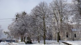 Zima w Puszczy Zielonka - zdjęcie 7