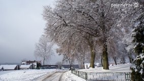 Zima w Puszczy Zielonka - zdjęcie 6